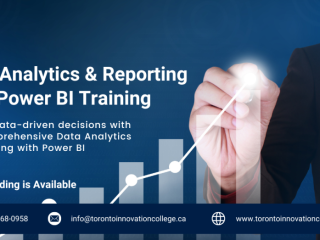 Master Data Analytics and Reporting with Power BI