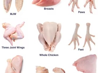 Wholesale Frozen Chickens, Bovine Beef Wholesale