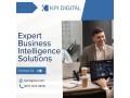 expert-business-intelligence-solutions-small-0