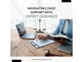 navigating-child-support-with-expert-guidance-from-spunt-carin-small-0