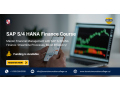 advance-your-career-with-sap-s4hana-finance-course-small-0