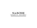 narcisse-inc-small-0