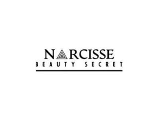 Narcisse Inc.