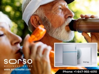 Purify Your Water with Sorso Wellness Fluoride Water Filter