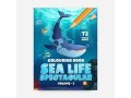 dive-into-creativity-with-our-sea-life-colouring-book-coloring-books-direct-small-0