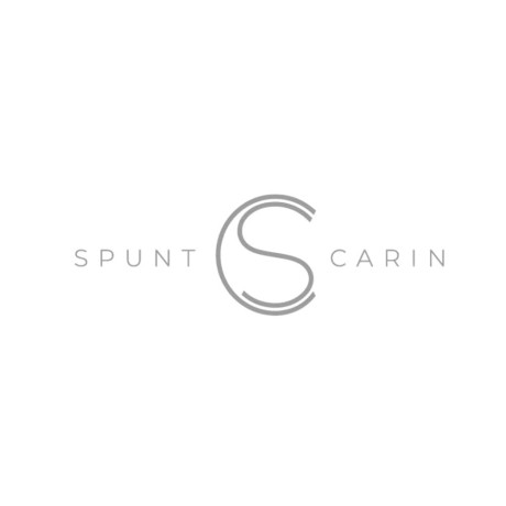 spunt-and-carin-inc-big-0