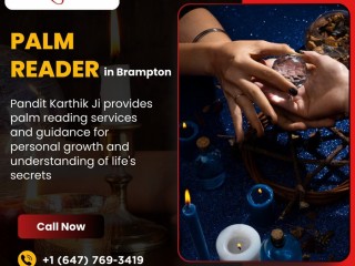 Palm Reader in Brampton | Pandith Karthik Ji