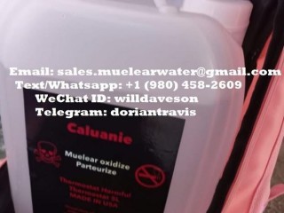 Caluanie For Sale In USA