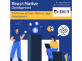 build-next-gen-apps-with-the-best-react-native-app-development-company-small-0
