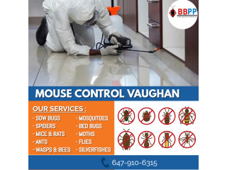 B.B.P.P. Effective Mice Control Vaughan - Free Quote