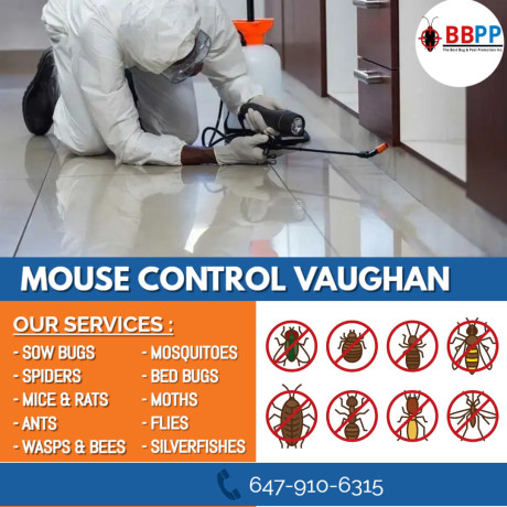 bbpp-effective-mice-control-vaughan-free-quote-big-0