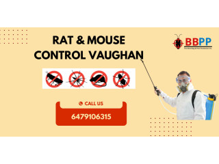 B.B.P.P. Rat & Mouse Control Vaughan - Get Free Quote