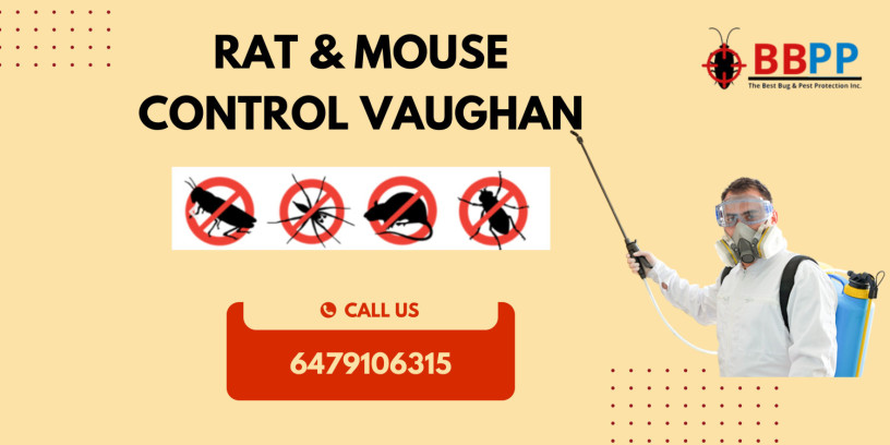 bbpp-rat-mouse-control-vaughan-get-free-quote-big-0