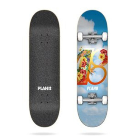 vans-skateboards-decks-big-0