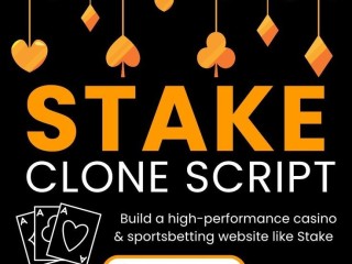 Revolutionize Online Gambling: Affordable Stake Clone Script for Instant Launch!