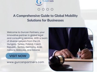 A Comprehensive Guide to Global Mobility Solutions for Businesses