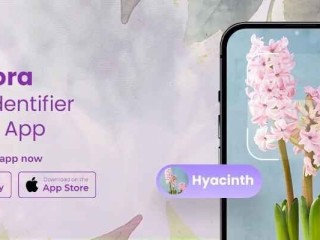 Discover Plants Instantly with Plantora The Ultimate Plant Identifier App!