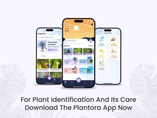 Discover the Best Plant Identification & Care App for Healthy Plants!