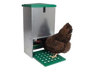 Find the Perfect Chicken Feeder & Shop Today!