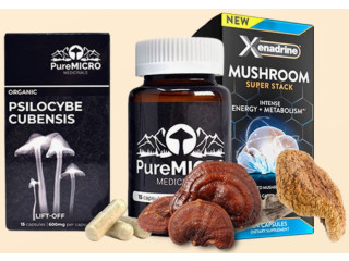 Get The Best Magic Mushrooms.