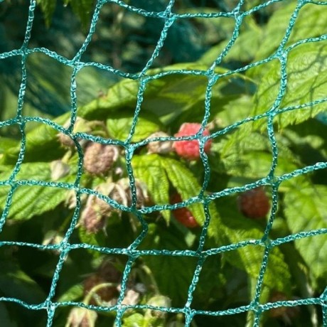 protect-your-garden-with-little-field-farms-anti-bird-netting-big-0