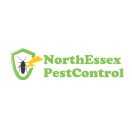 expert-pest-control-services-in-colchester-essex-north-essex-pest-control-big-0