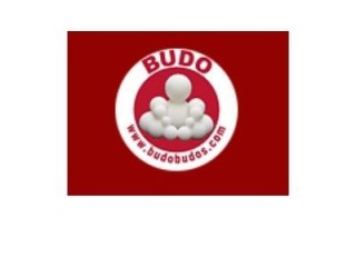 Budo