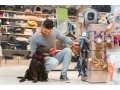 pet-product-fulfillment-animal-supplies-tailored-logistics-for-pet-brands-small-0