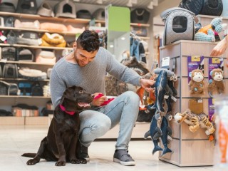 Pet Product Fulfillment & Animal Supplies: Tailored Logistics for Pet Brands