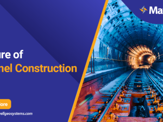 Advanced Tunnel Data Management System for Real-Time Project Control