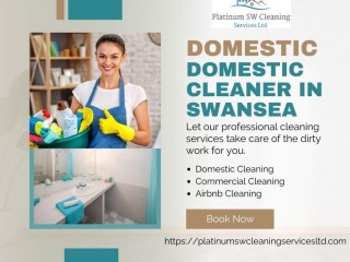 Commercial Cleaners in Neath - Call 447450604275