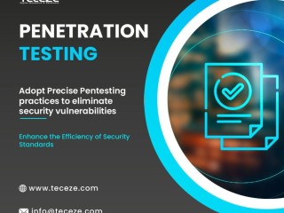 Vulnerability Assessment and Penetration Testing (VAPT) Services