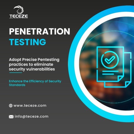 vulnerability-assessment-and-penetration-testing-vapt-services-big-0