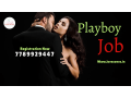 join-playboy-service-in-delhi-exciting-job-opportunities-await-small-0