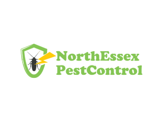 Wasp Control Colchester: Expert Solutions from North Essex Pest Control