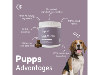 Buy Calming Supplements for Dogs
