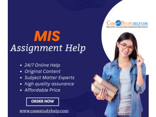 No 1 MIS Assignment Help at Case Study Help in UK