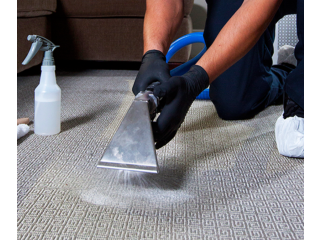 Restore Your Space with Our Carpet Cleaning Magic