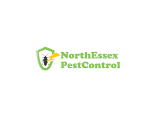 Pest Control Masters of North Essex: Safeguarding Your Space