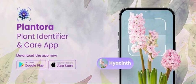 plantora-plant-care-app-your-plants-personal-assistant-big-0