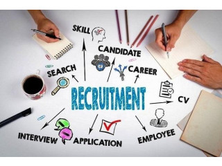 Nagpur Placement & Recruitment Company: Find Your Ideal Career