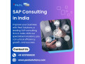 sap-consulting-in-india-small-0