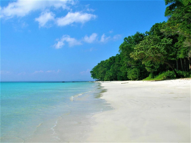 travel-time-go-to-andaman-book-tour-package-big-2