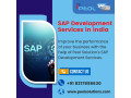 sap-development-services-in-india-small-0