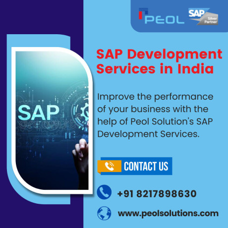 sap-development-services-in-india-big-0