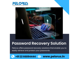 Password Recovery Solution | Mobile Unlocking Solutions