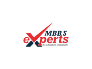 Best Consultant For MBBS in Russia