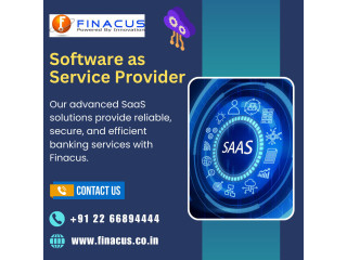 Software as Service Provider