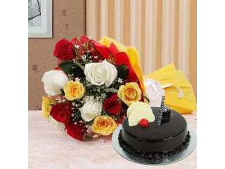 Same Day Gifts Delivery in Noida from OyeGifts