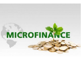 Risk Management in Microfinance